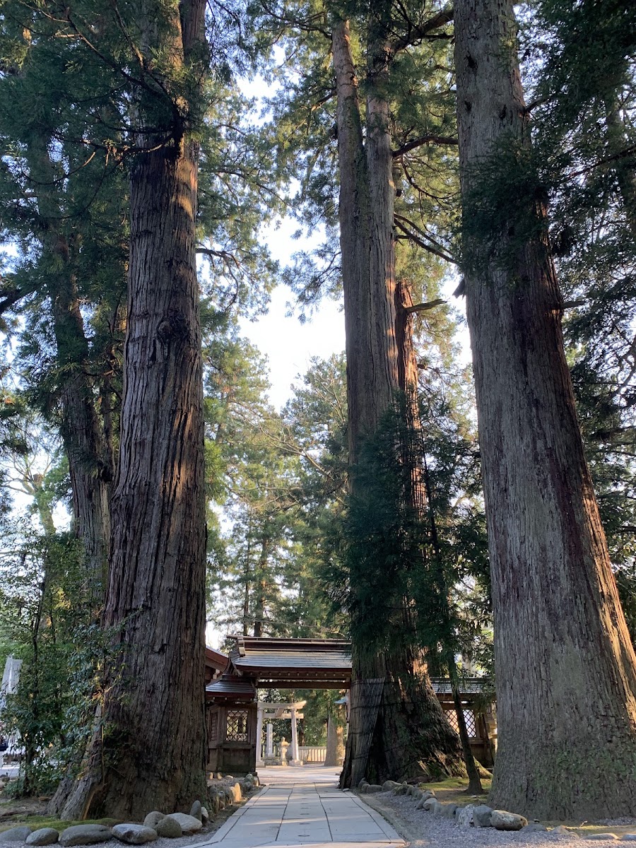 白山比咩神社 實景照片 9