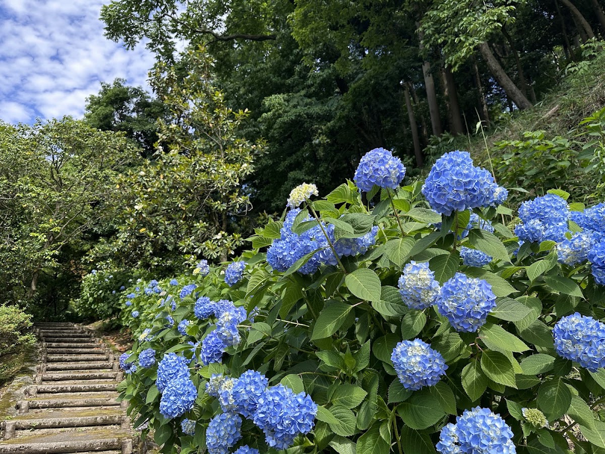卯辰山公園 實景照片 4