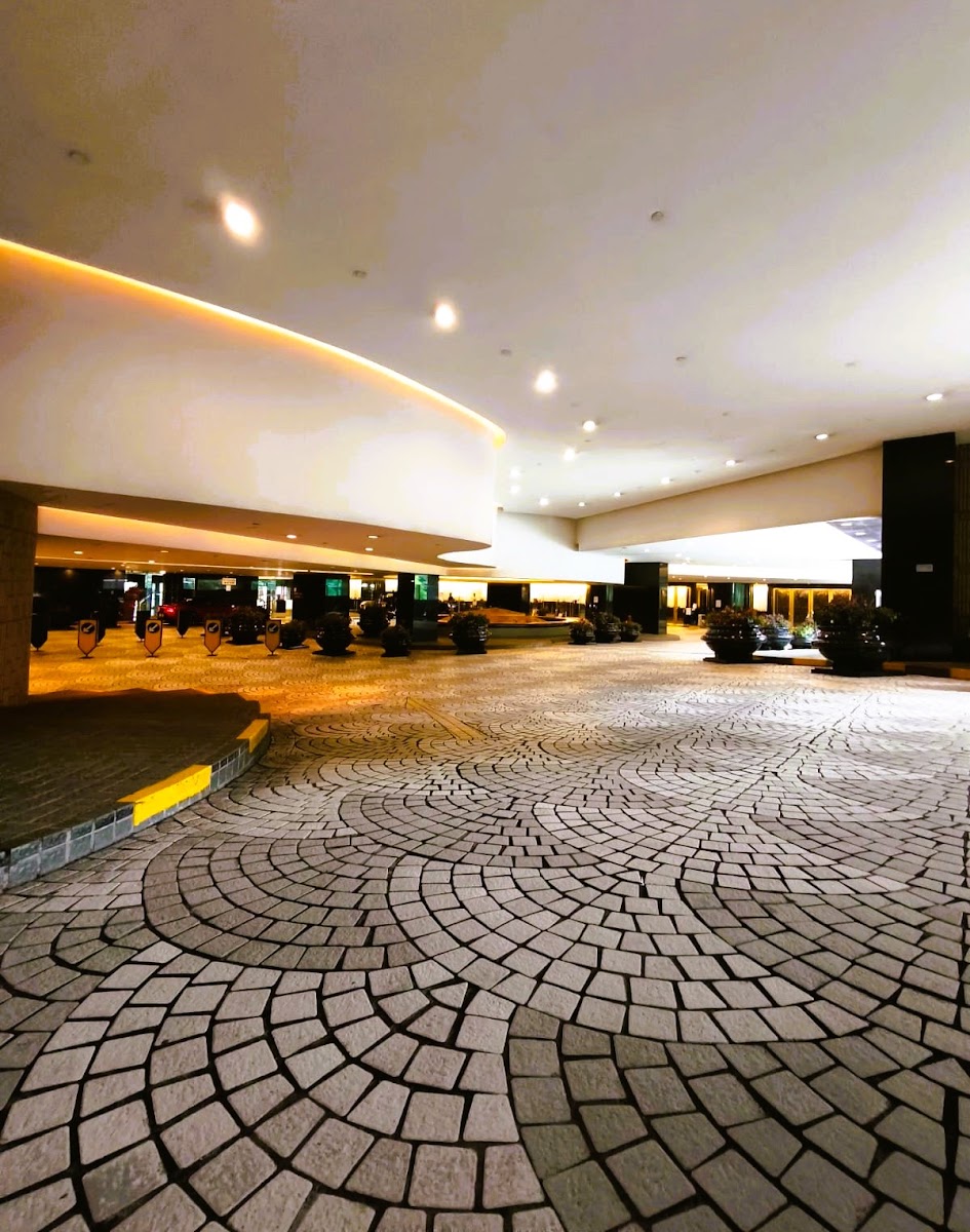 尖沙咀康宏廣場 Concordia Plaza 停車場 實景照片 9