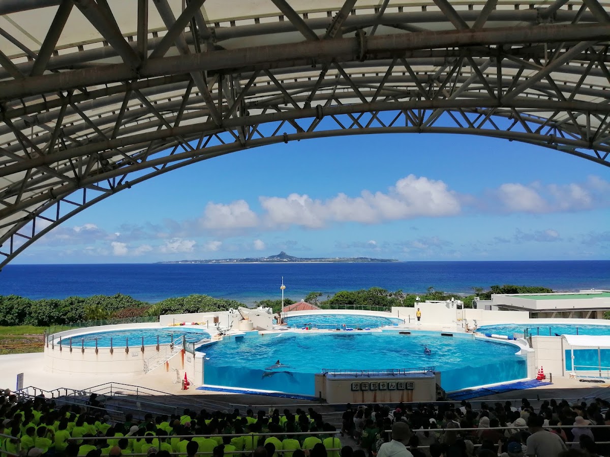 戶外海豚劇場與表演池水景