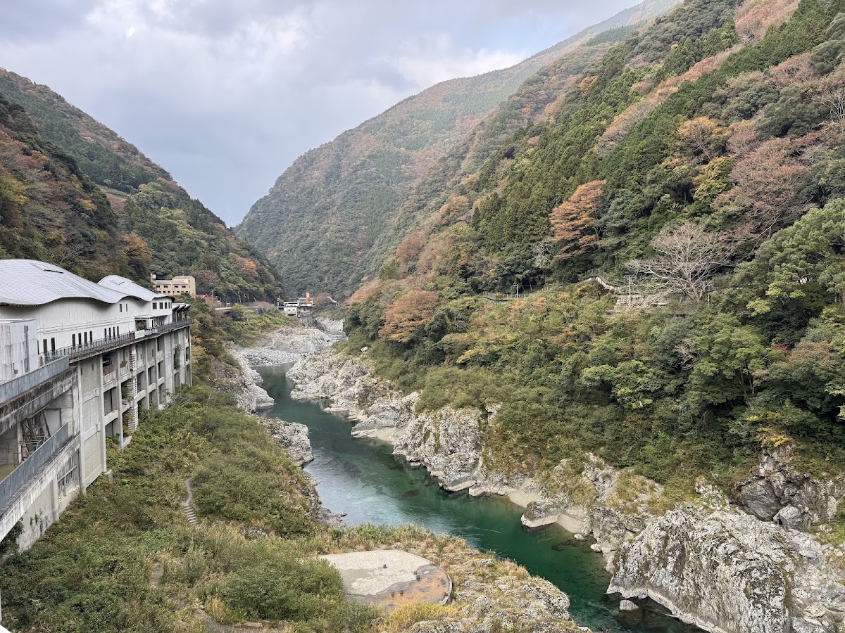 道之驛 大步危(道の駅 大歩危) 實景照片 2