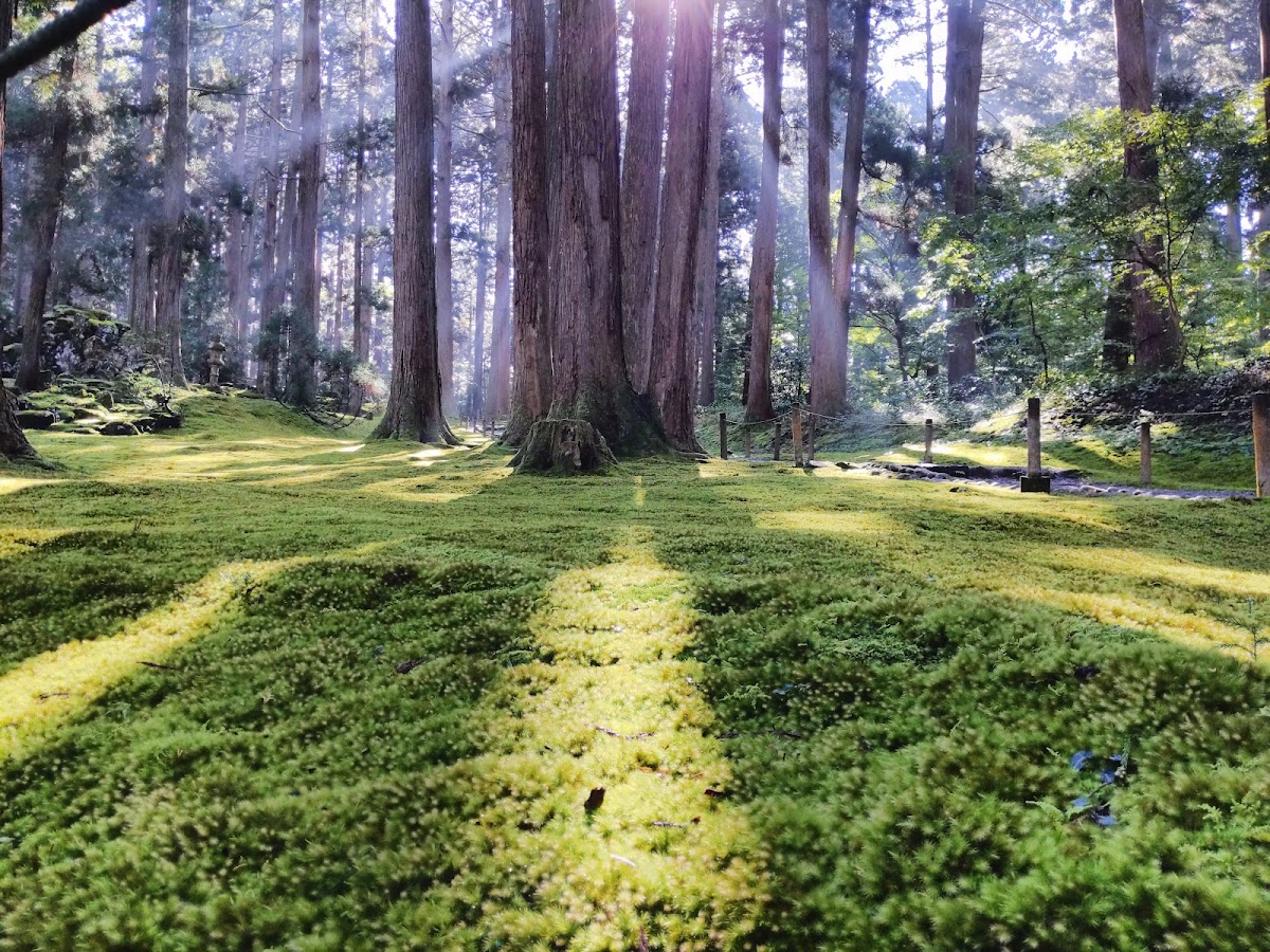 白山國家公園(白山国立公園) 實景照片 5