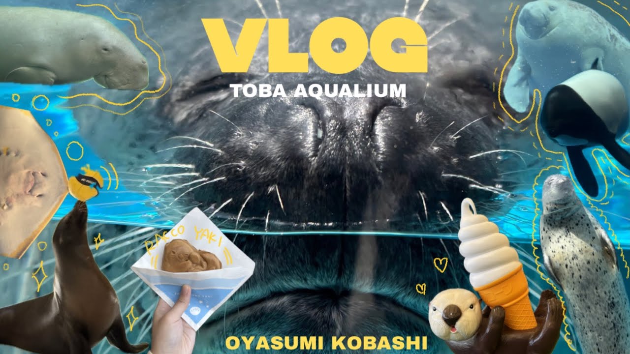 【三重】鳥羽水族館が満足度高すぎた🦭✨めおと横丁🏮横山展望台⛰️日本一大きいLAWSON🏪充実の1日のおはなし🪽