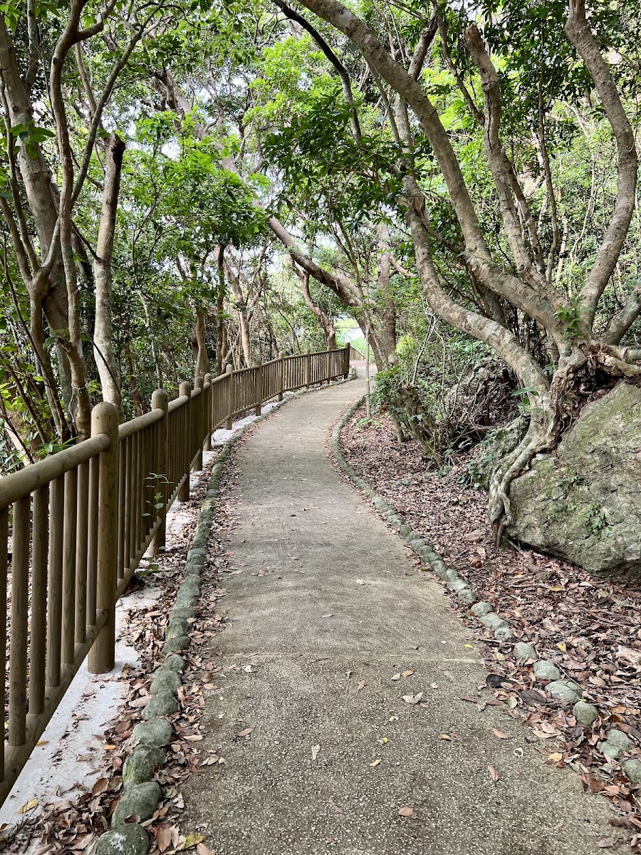 伊江島城山(城山) 實景照片 9