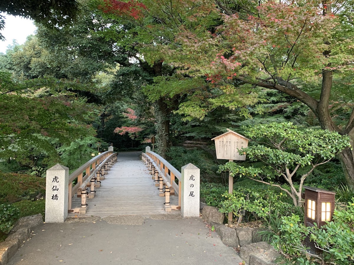 日式木橋與紅葉林小徑