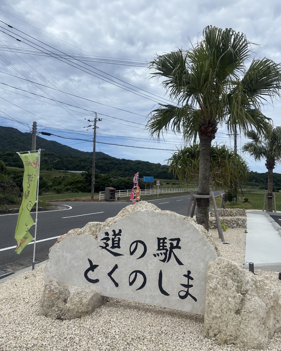 道之驛 德之島(道の駅 とくのしま) 實景照片 3