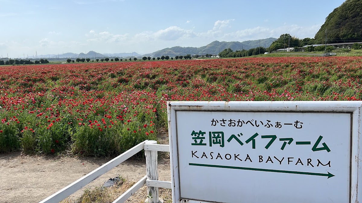 道之驛 笠岡灣農場(道の駅 笠岡ベイファーム) 實景照片 8