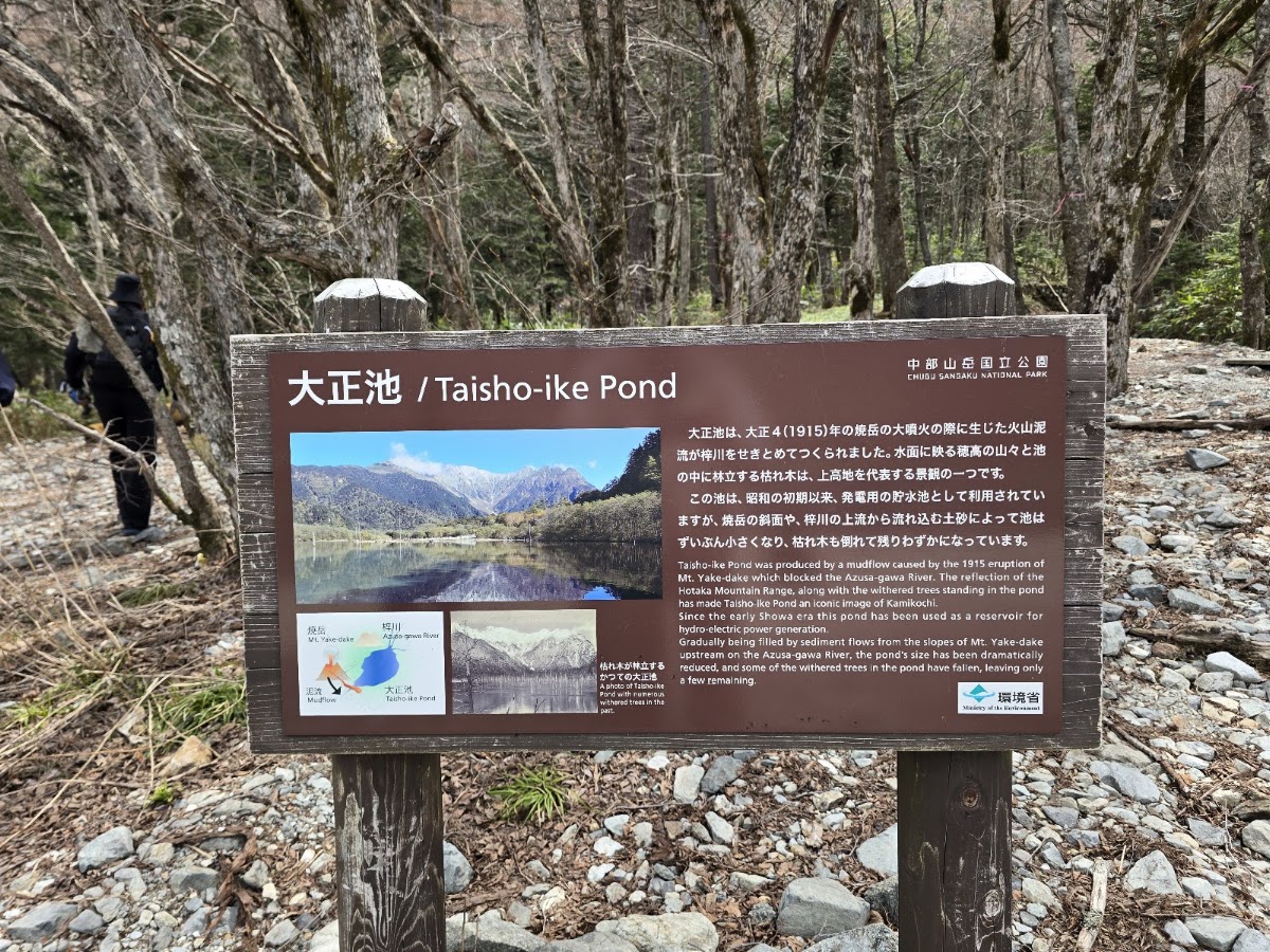 大正池 實景照片 3