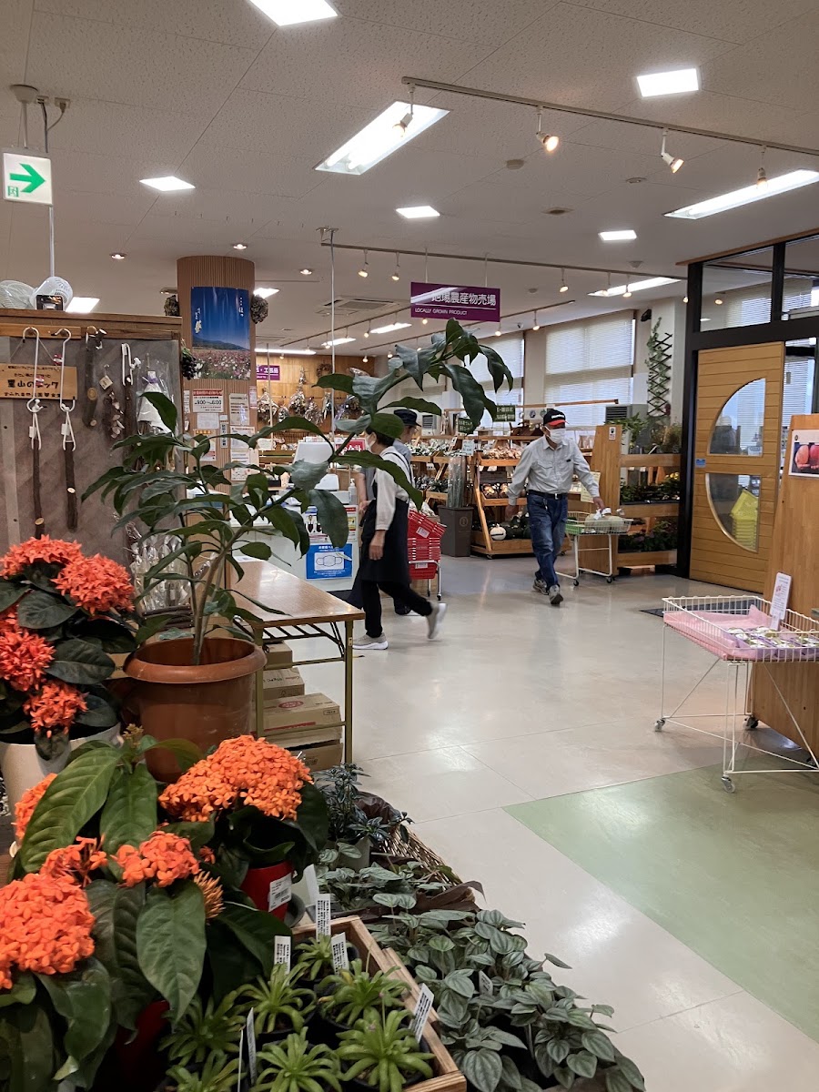 道之驛 花之里飯島(道の駅 花の里いいじま) 實景照片 1