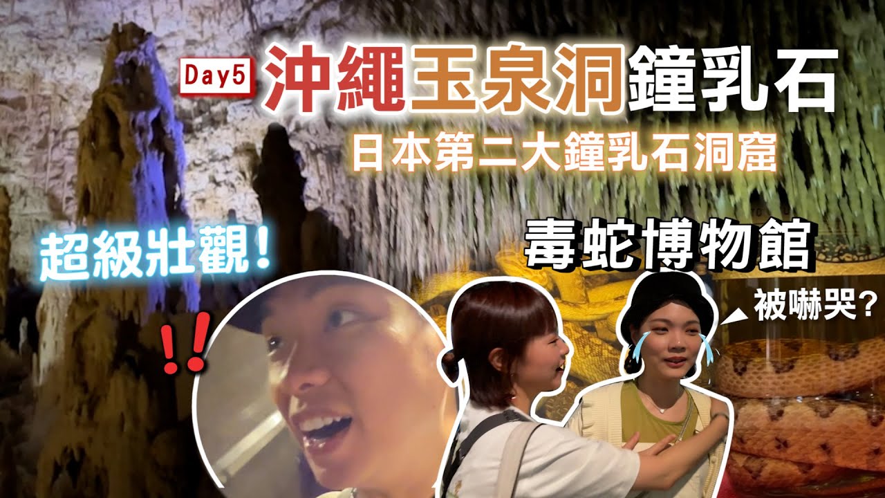「沖繩世界文化王國」鐘乳石玉泉洞|王國村|毒蛇博物館/超壯觀鐘乳石、石筍洞窟/各式毒蛇蛇酒讓人嚇到哭?Vlog Day5|【八寶粉元遊記】