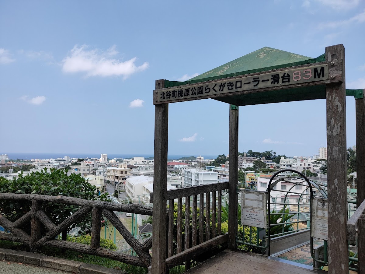 桃原公園 實景照片 6