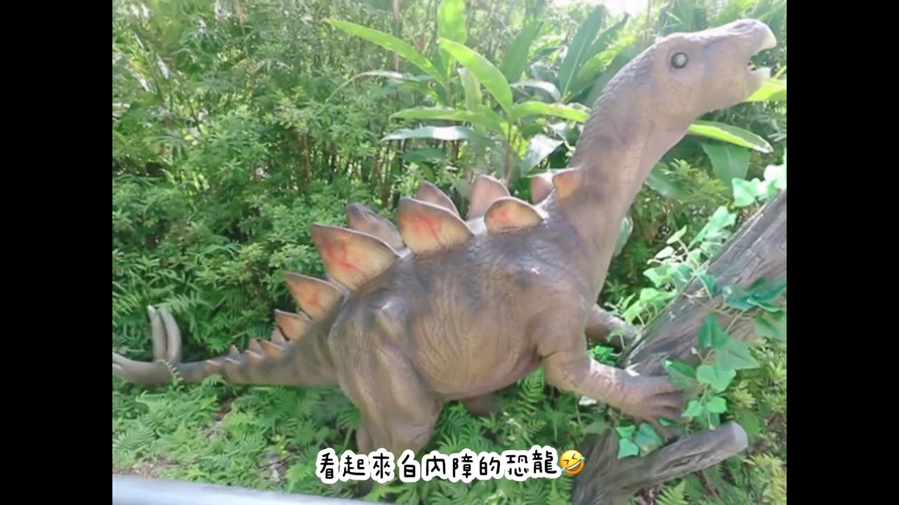 沖繩名護景點【DINO恐龍公園/山原亞熱帶之森】身歷其境侏儸紀!會動會叫超刺激!御菓子御殿/名護店伴手禮超好買!