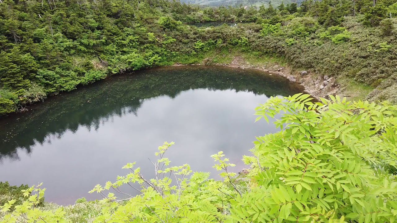 第1745篇日本東北岩手八幡平山頂樹海/見返峠/鏡沼/八幡沼X日本景點導覽|Japan Tohoku Iwate Mount Hachimantai02