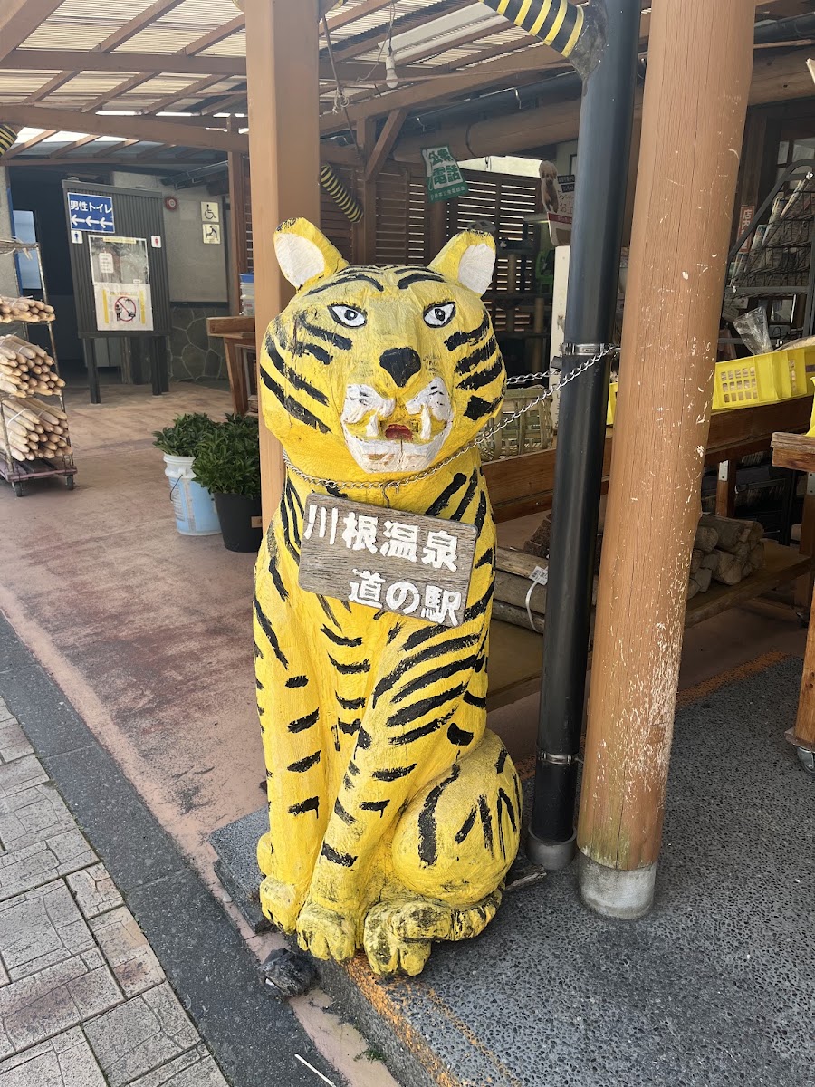 道之驛 川根溫泉（道の駅 川根温泉） 實景照片 4