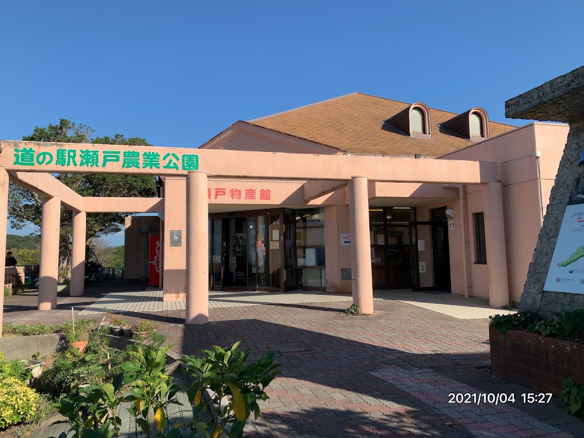 道之驛 佐田岬半島博物館(道の駅 佐田岬半島ミュージアム) 實景照片 9