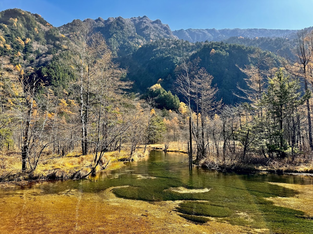 秋季枯木倒映池水與遠山