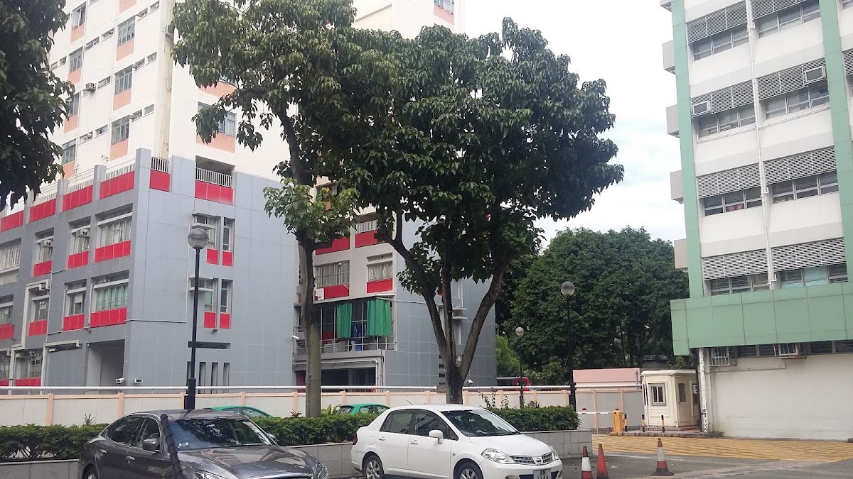 大埔政府合署露天停車場 實景照片 4
