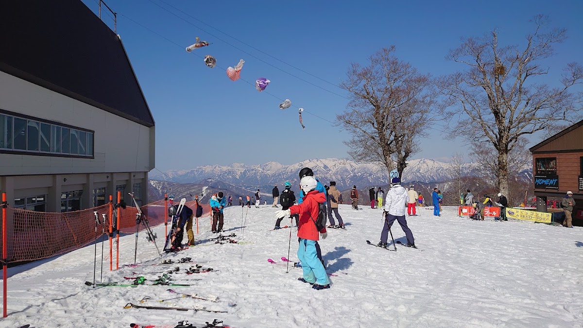 神樂滑雪場(かぐらスキー場) 實景照片 8