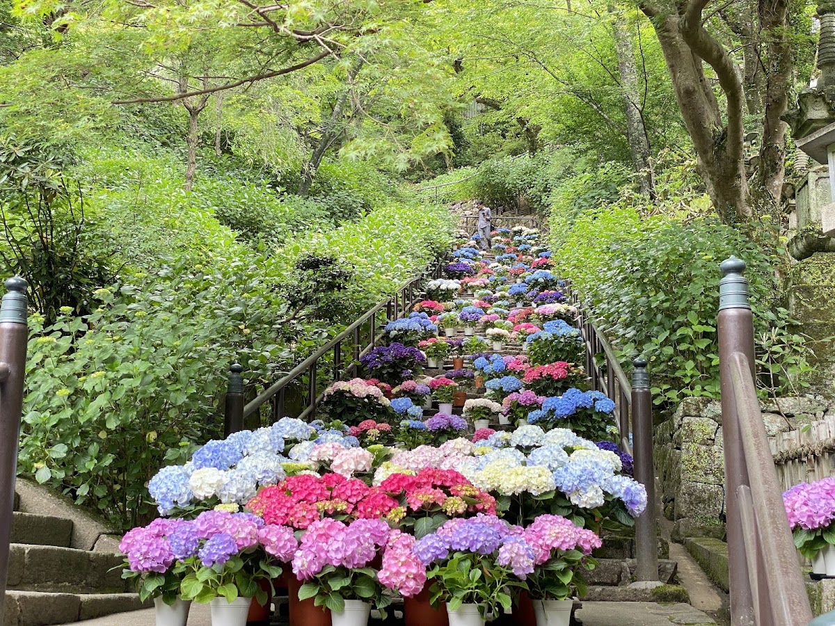 總本山長谷寺(総本山長谷寺) 實景照片 8