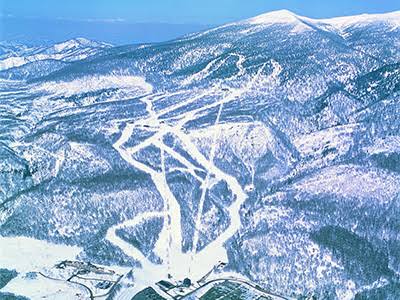 Grandeco Snow Resort（グランデコスノーリゾート） 實景照片 10