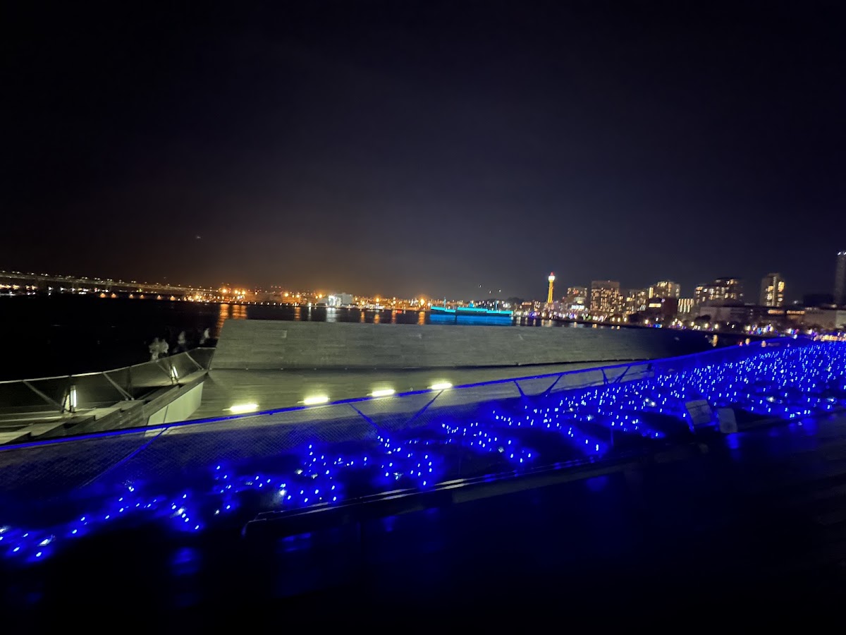 橫濱港大棧橋國際客運碼頭(横浜港大さん橋) 實景照片 10