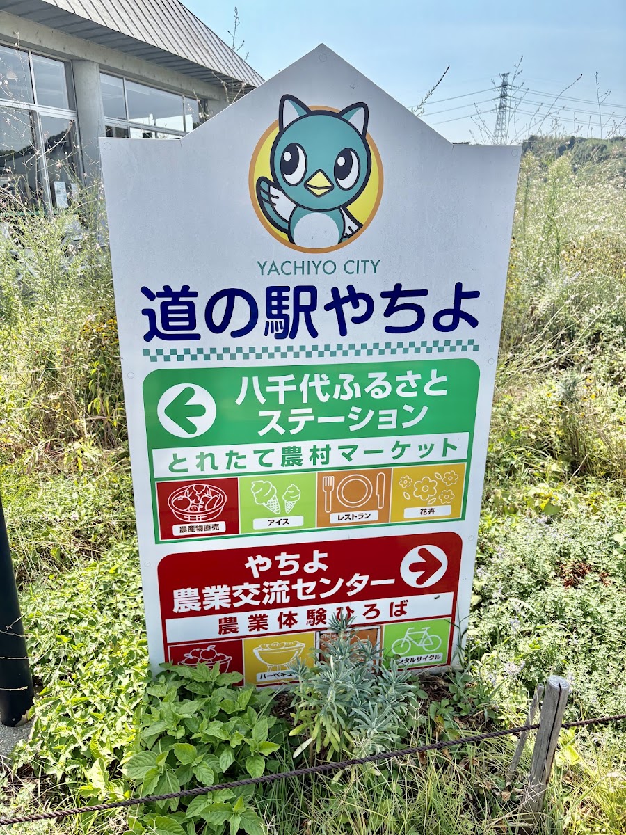 道之驛 八千代(道の駅 やちよ) 實景照片 4