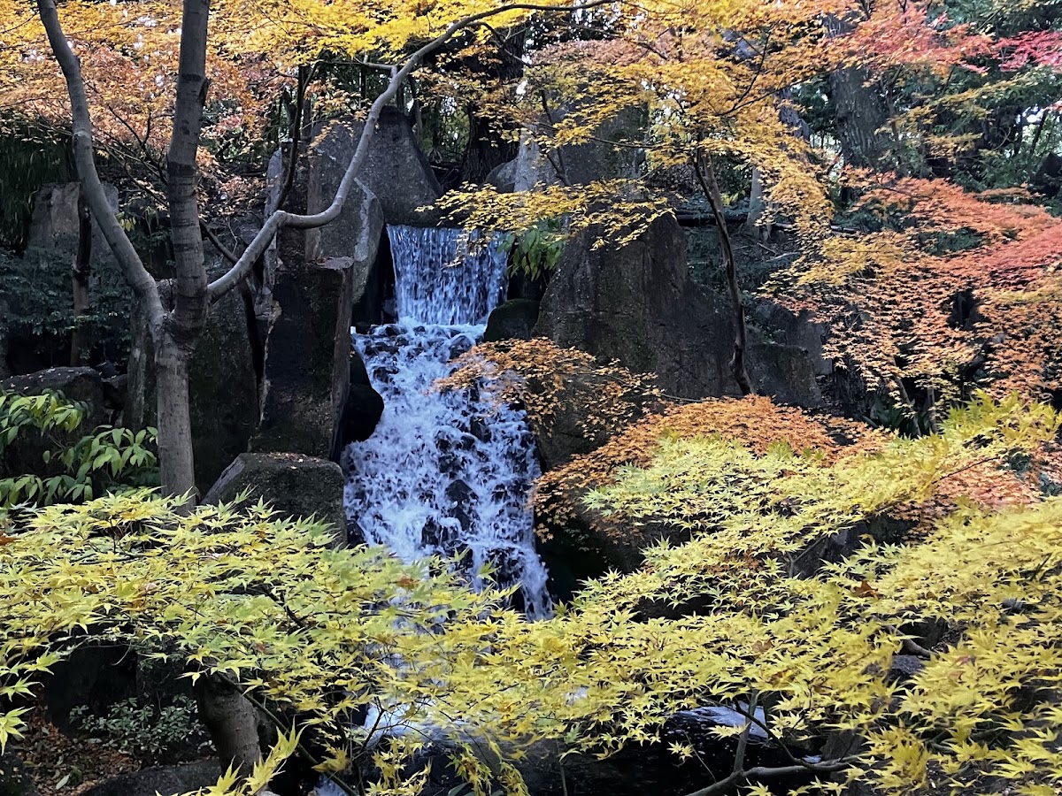 德川園(徳川園) 實景照片 4