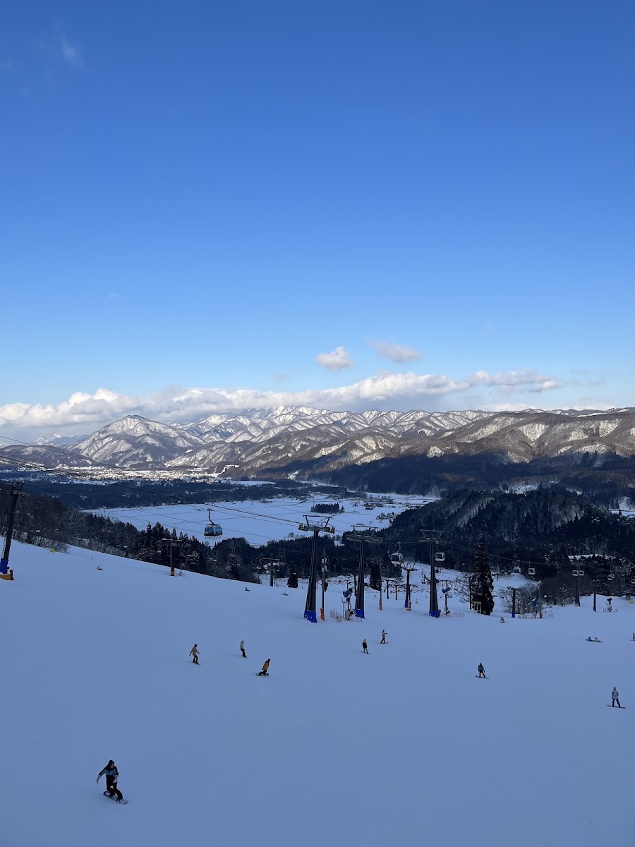 白馬五龍滑雪場(エイブル白馬五竜) 實景照片 3