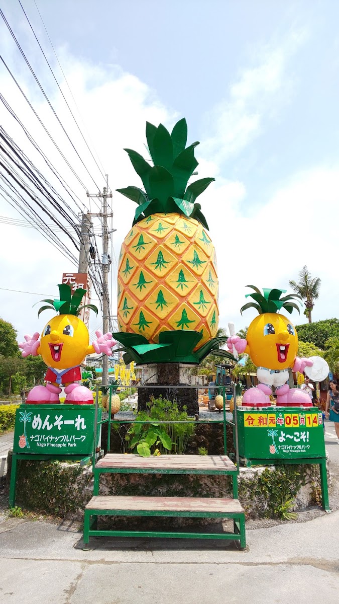 名護鳳梨園(ナゴパイナップルパーク) 實景照片 3