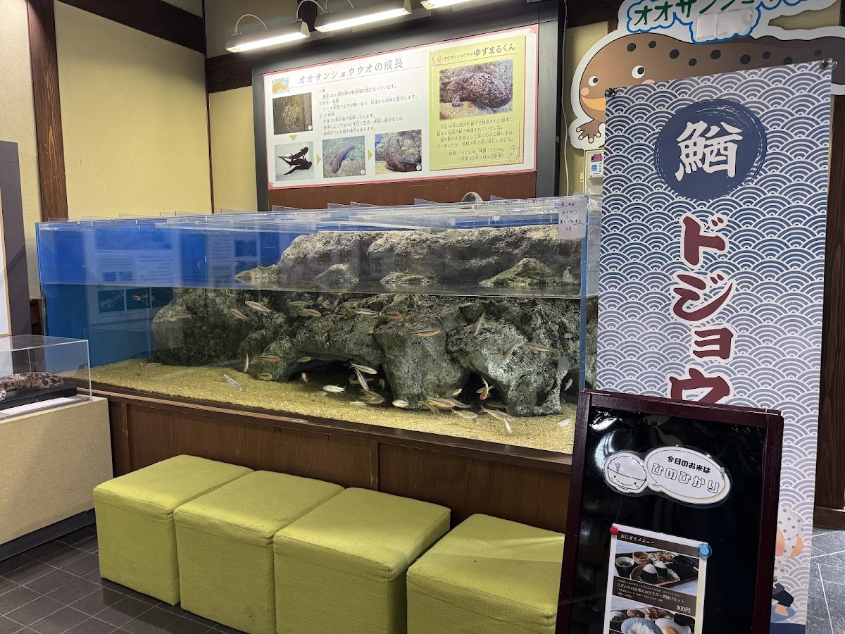 道之驛 院內（道の駅 いんない） 實景照片 8