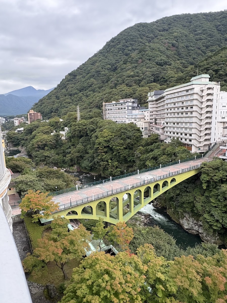 俯瞰鬼怒川溫泉溪谷與綠色拱橋