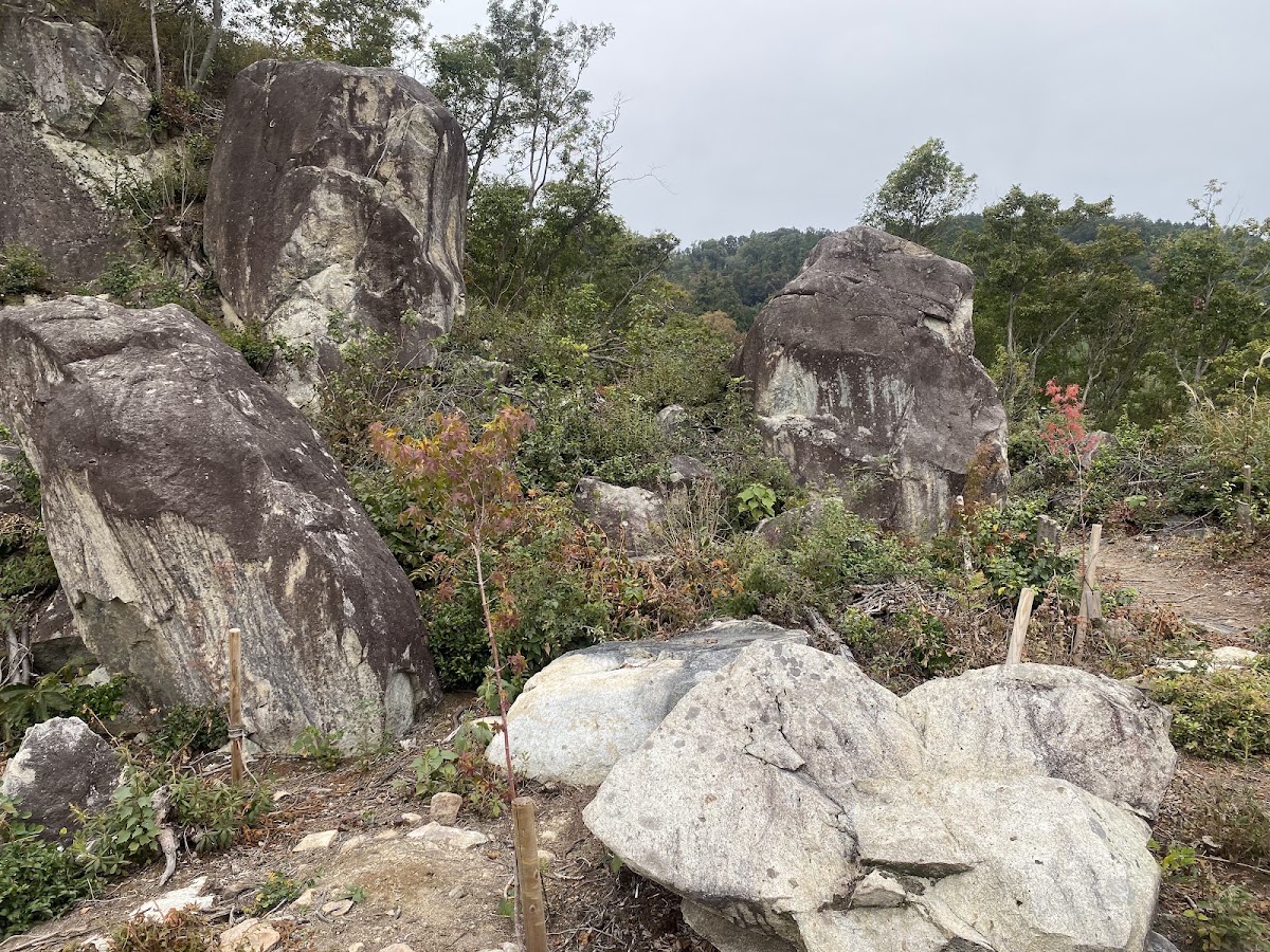 觀音寺城(観音寺城) 實景照片 8