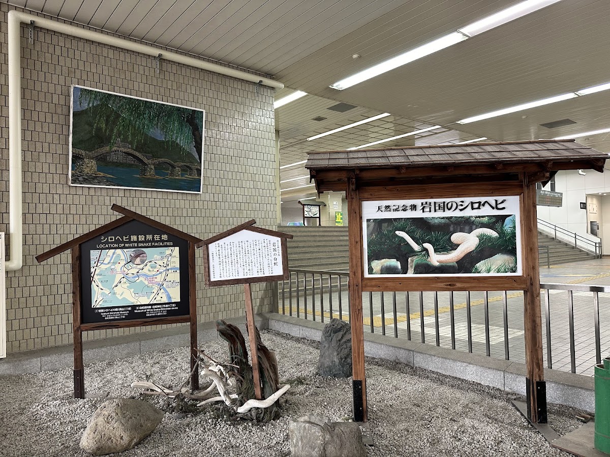 JR新岩國站 新幹線(JR新岩国駅) 實景照片 8
