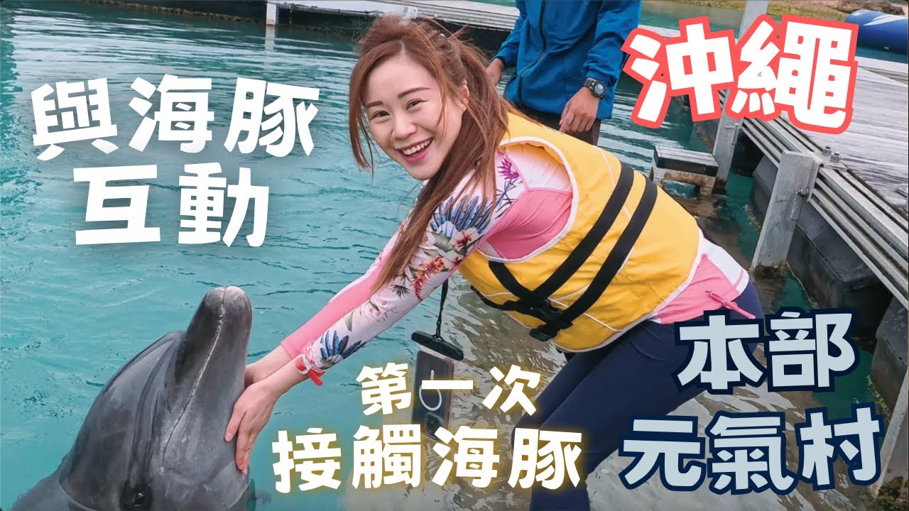 【🇯🇵沖繩Vlog】本部元氣村🐬海豚互動體驗✨親子好去處|海人料理 海邦丸2號 鄰近美麗海水族館 完美海景吃海鮮 #okinawa #沖縄 #dolphin #イルカ #水族館 #日本 #親子