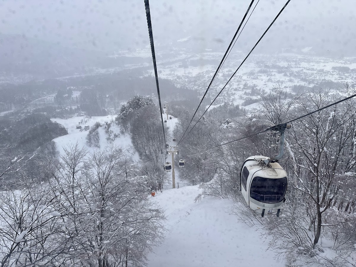 白馬八方尾根滑雪場(白馬八方尾根スキー場) 實景照片 7