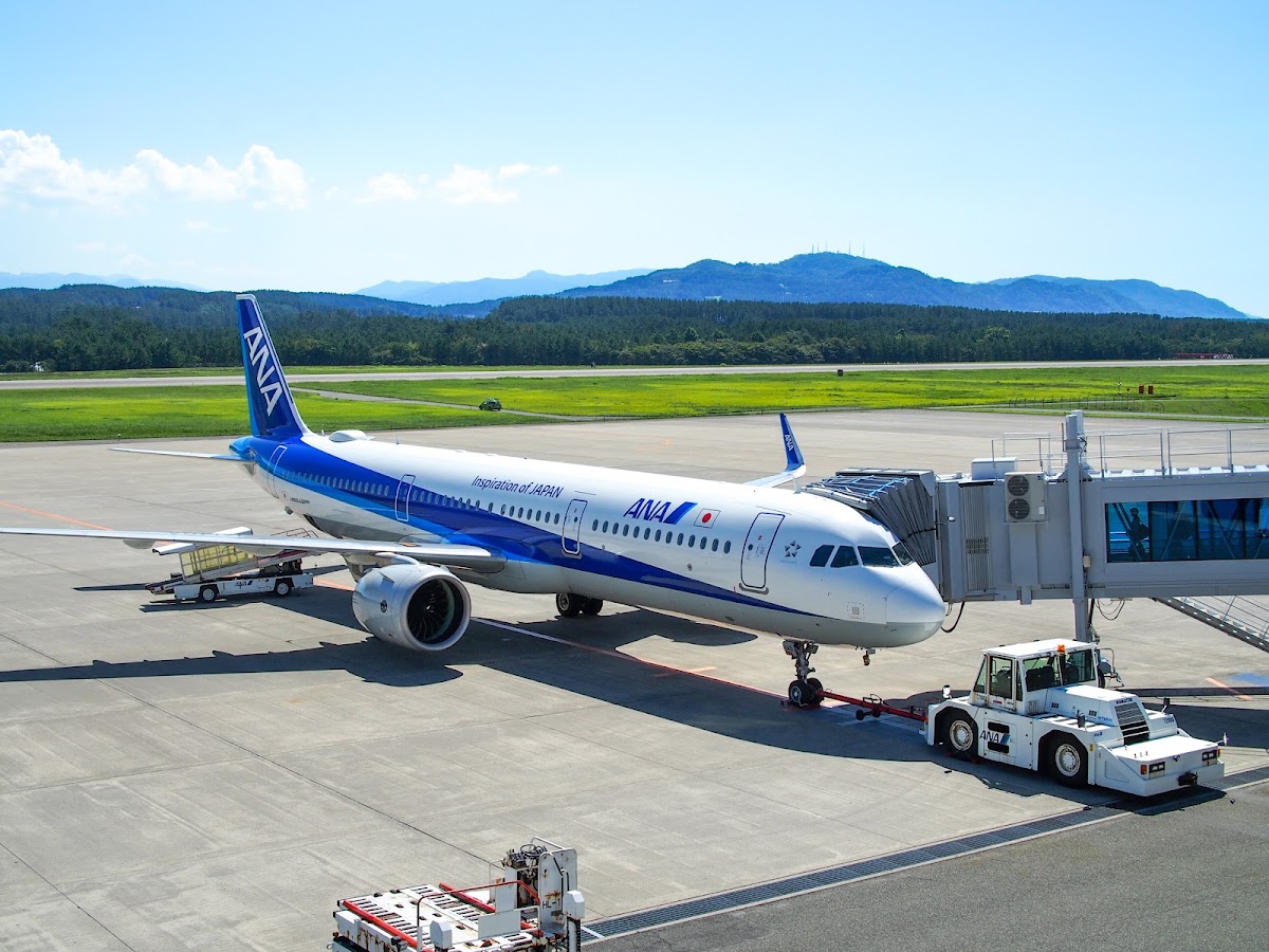 庄內機場 SYO（庄内空港） 實景照片 2