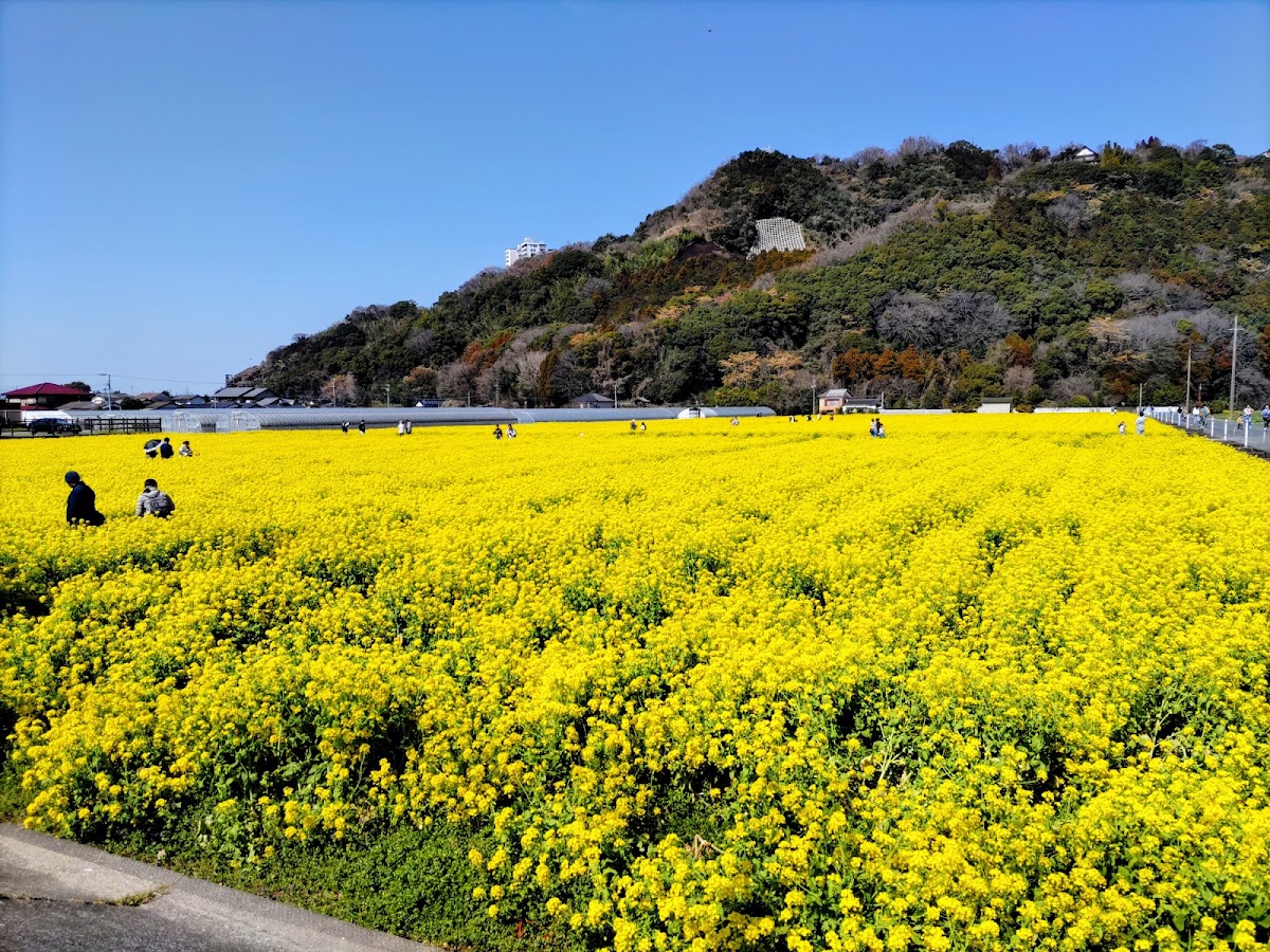 道之驛 原鶴(道の駅 原鶴) 實景照片 4