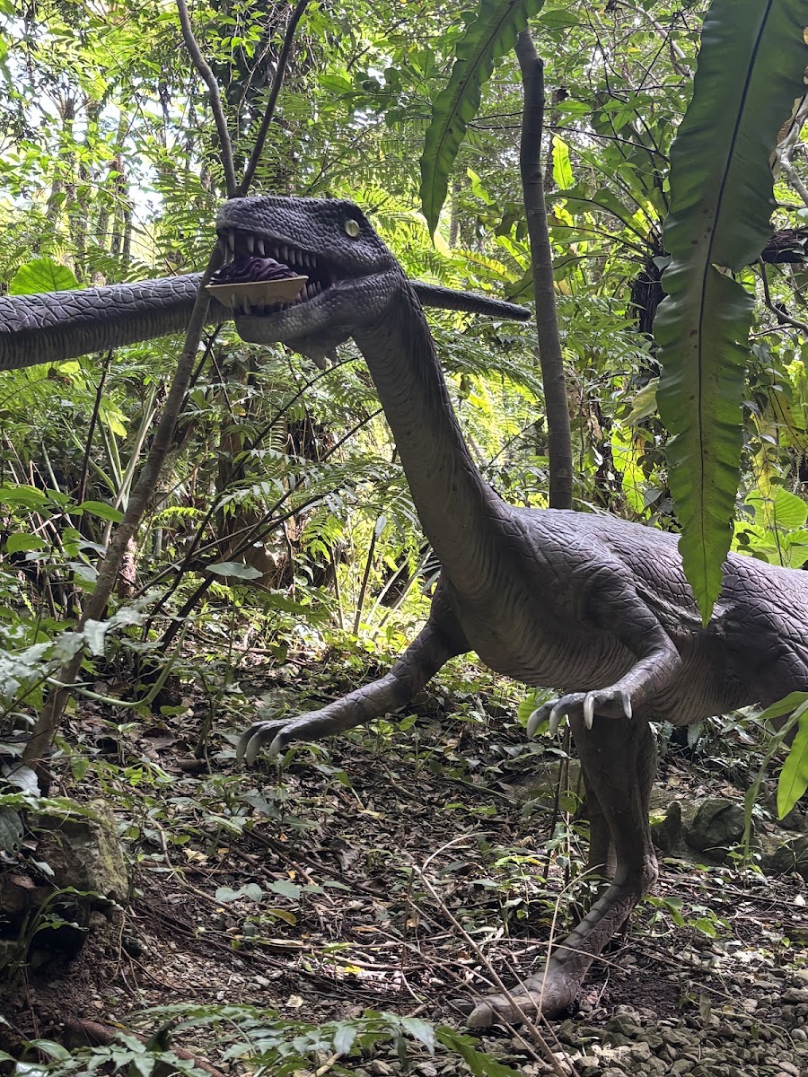 DINO恐龍PARK山原亞熱帶之森(DINO恐竜PARK やんばる亜熱帯の森) 實景照片 3