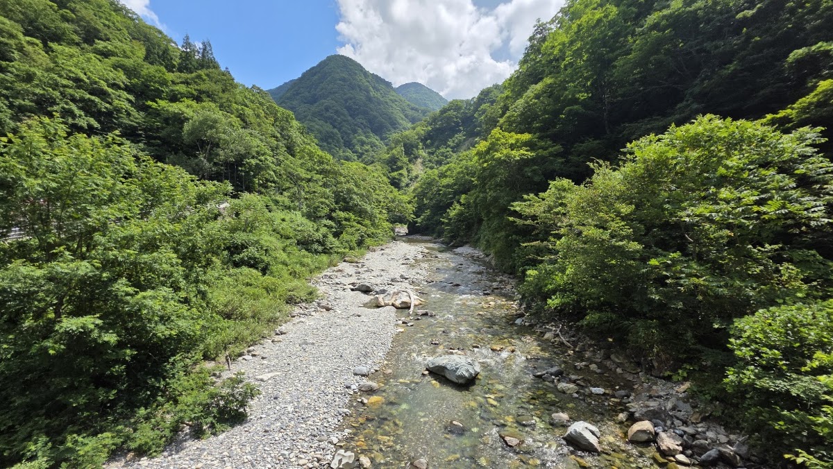 綠意山谷間的溪流