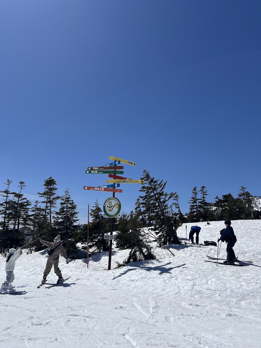 神樂滑雪場(かぐらスキー場) 實景照片 6