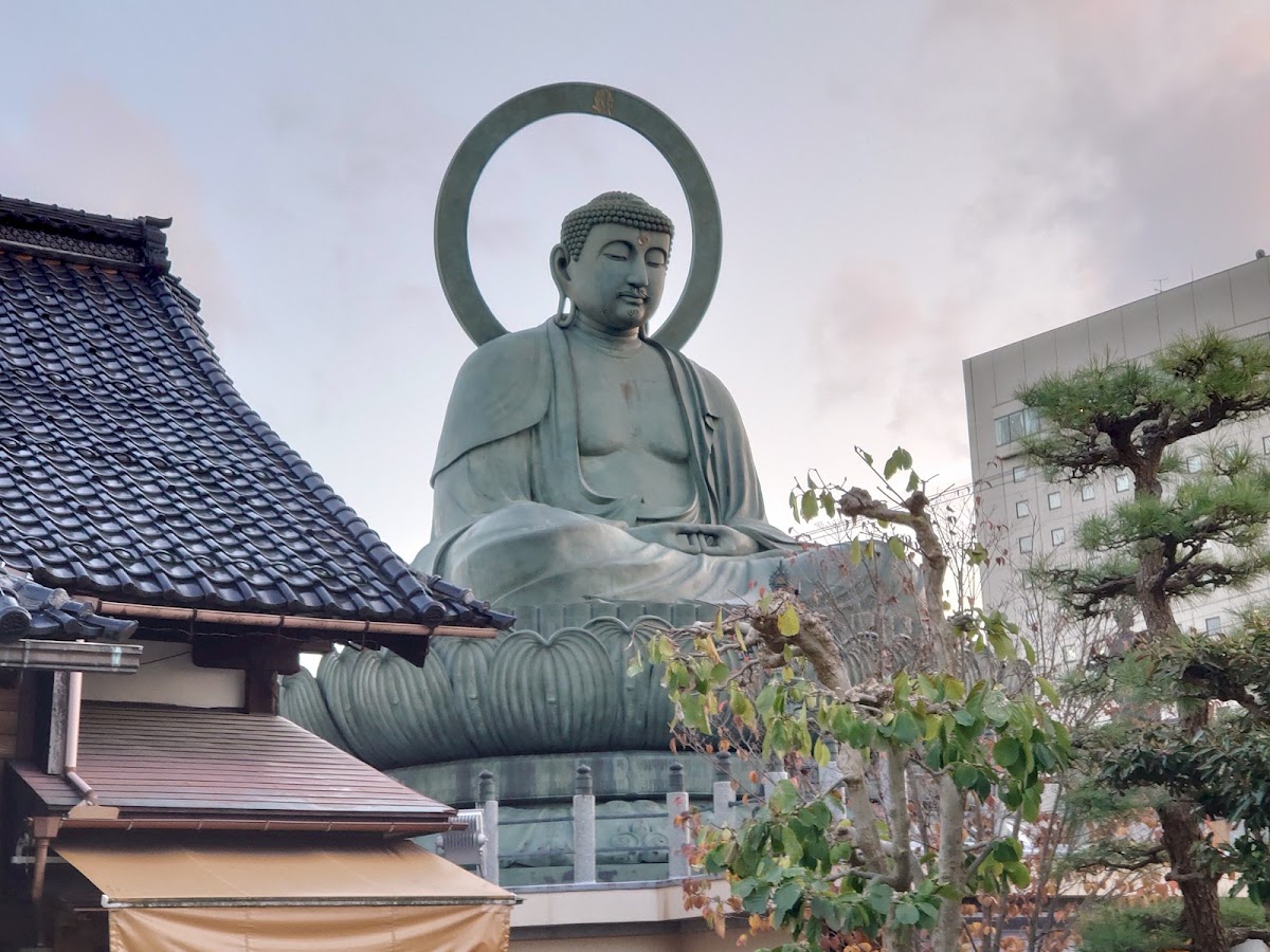 高岡大佛(高岡大仏) 實景照片 7