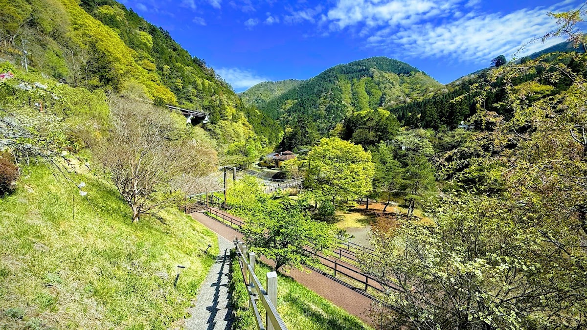 道之驛 丹波山（道の駅 たばやま） 實景照片 3