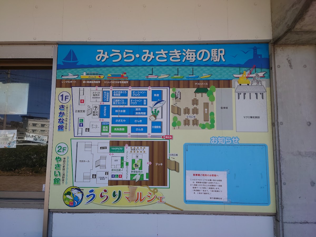 三浦三崎海之驛(みうら・みさき海の駅) 實景照片 1