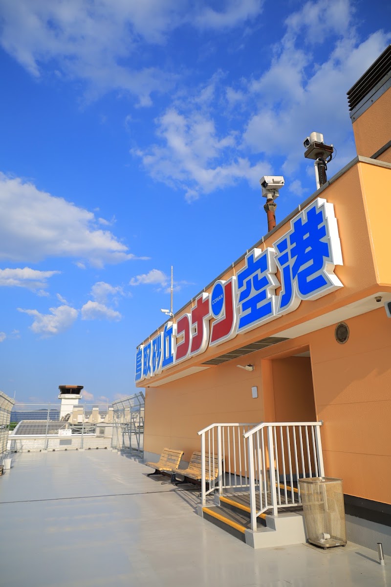鳥取砂丘柯南機場 TTJ（鳥取砂丘コナン空港） 實景照片 7