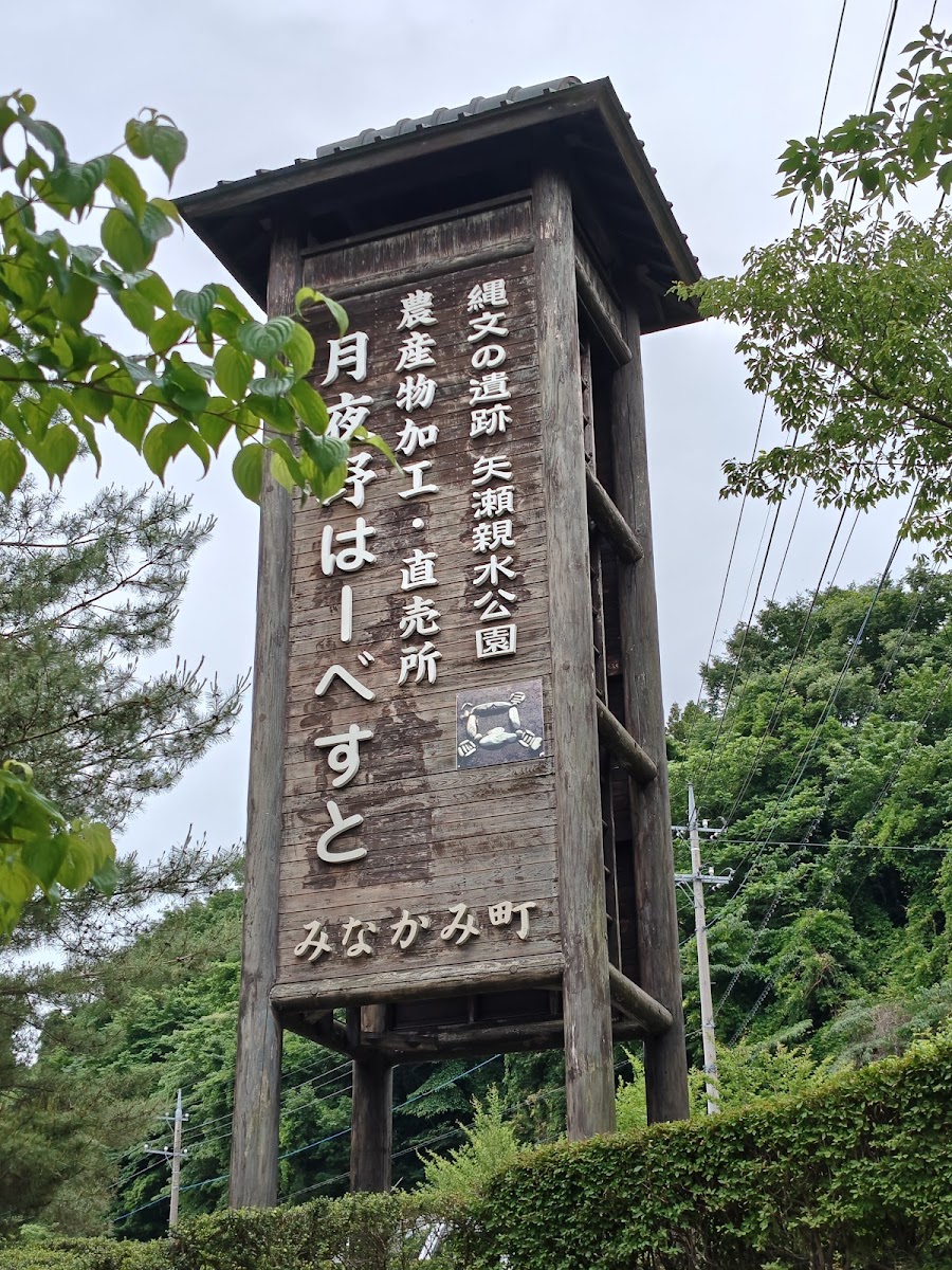 道之驛 月夜野矢瀬親水公園（道の駅 月夜野矢瀬親水公園） 實景照片 1