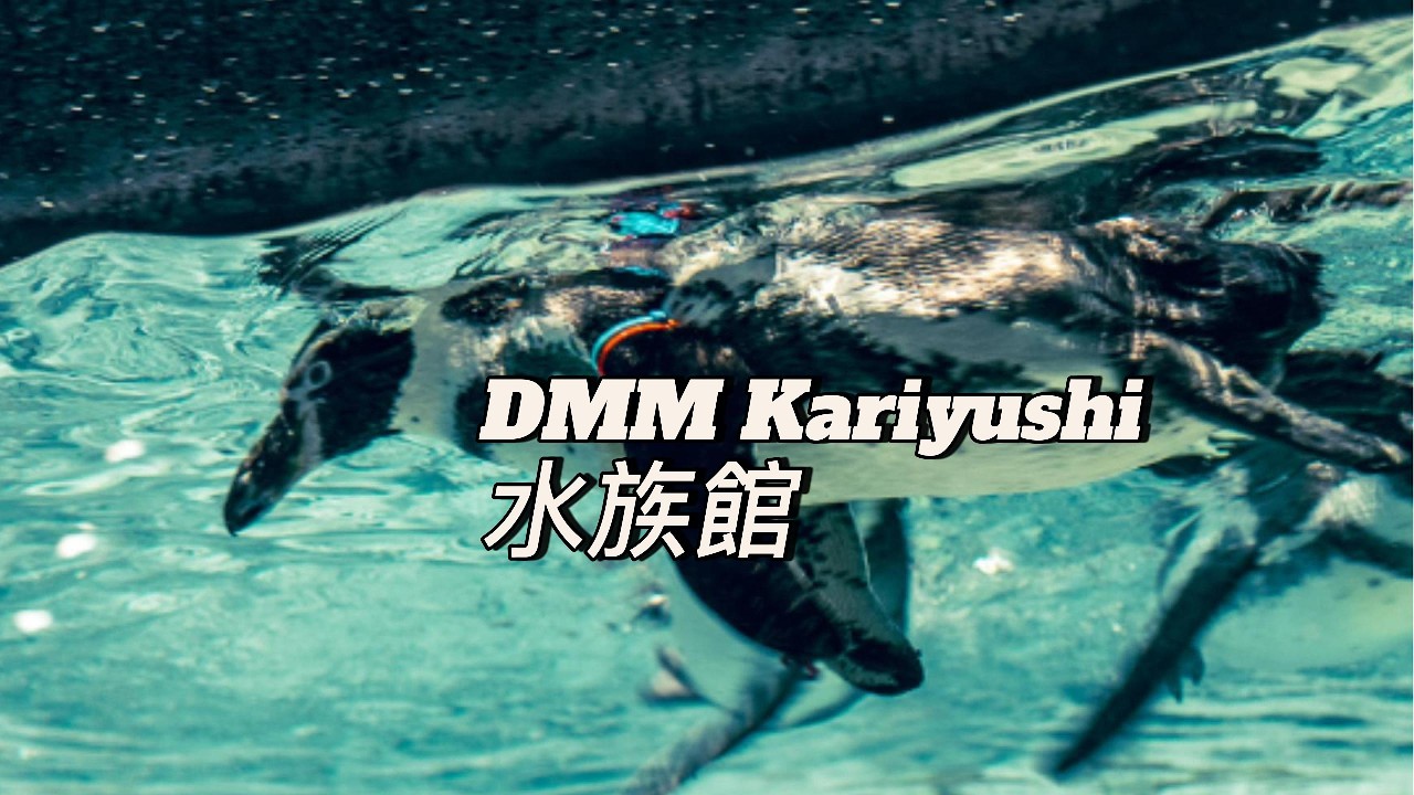 【沖繩景點】DMM Kariyushi 水族館開箱｜離機場超近的雨天備案