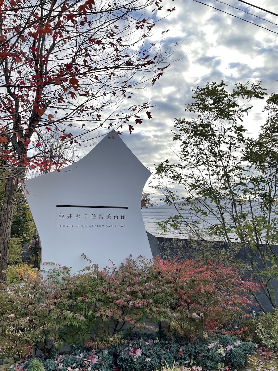 輕井澤千住博美術館(軽井沢千住博美術館) 實景照片 4
