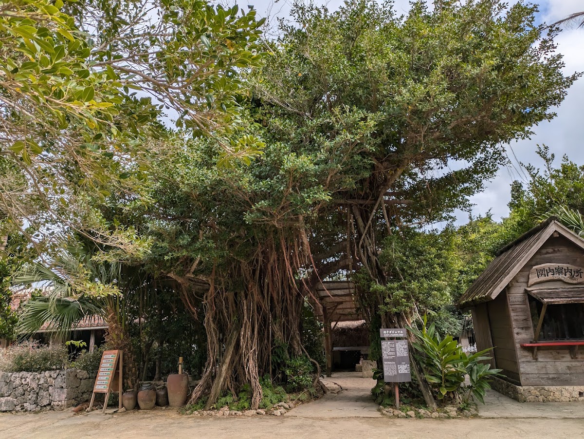 琉球村 實景照片 9
