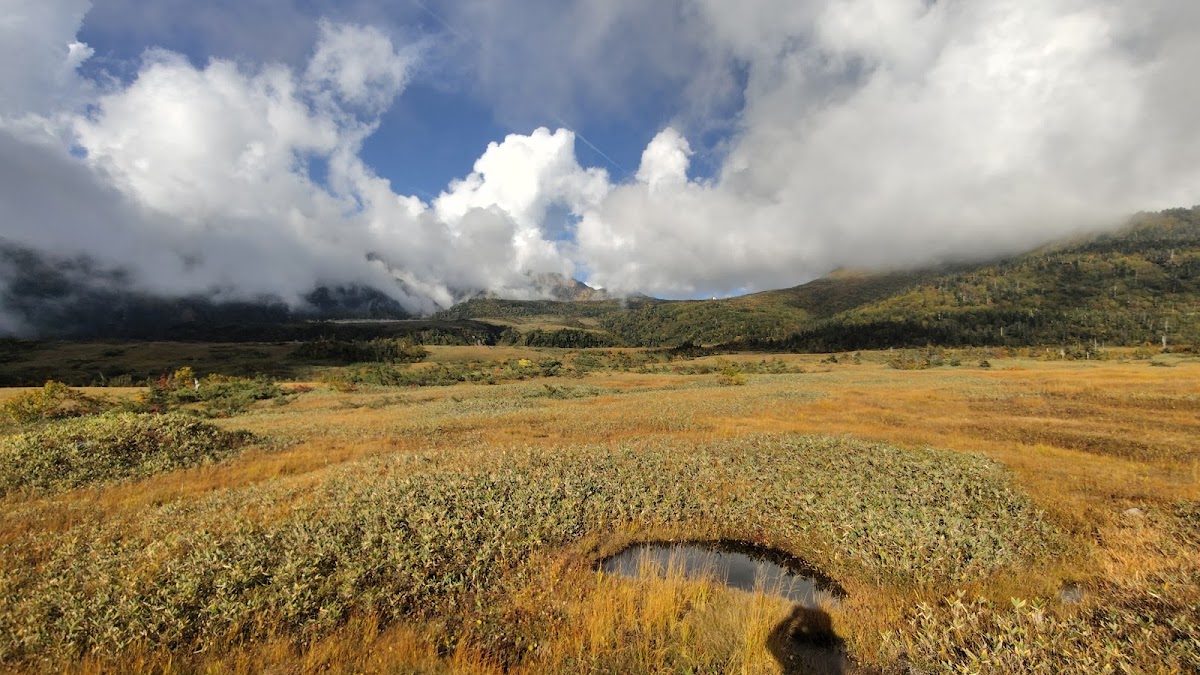秋季高山濕原與雲海