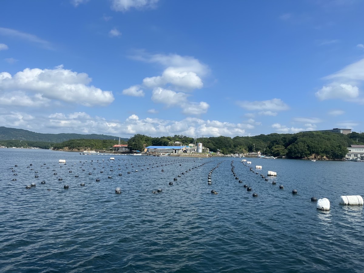 賢島西班牙遊覽船(賢島エスパーニャクルーズ) 實景照片 3